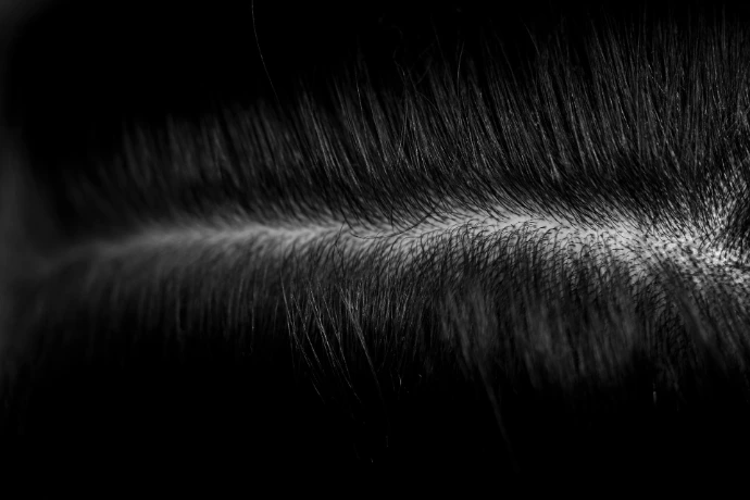 a black and white photo of some hair